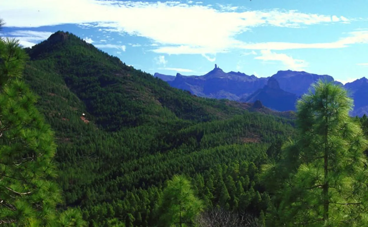 Finca La Alpispa