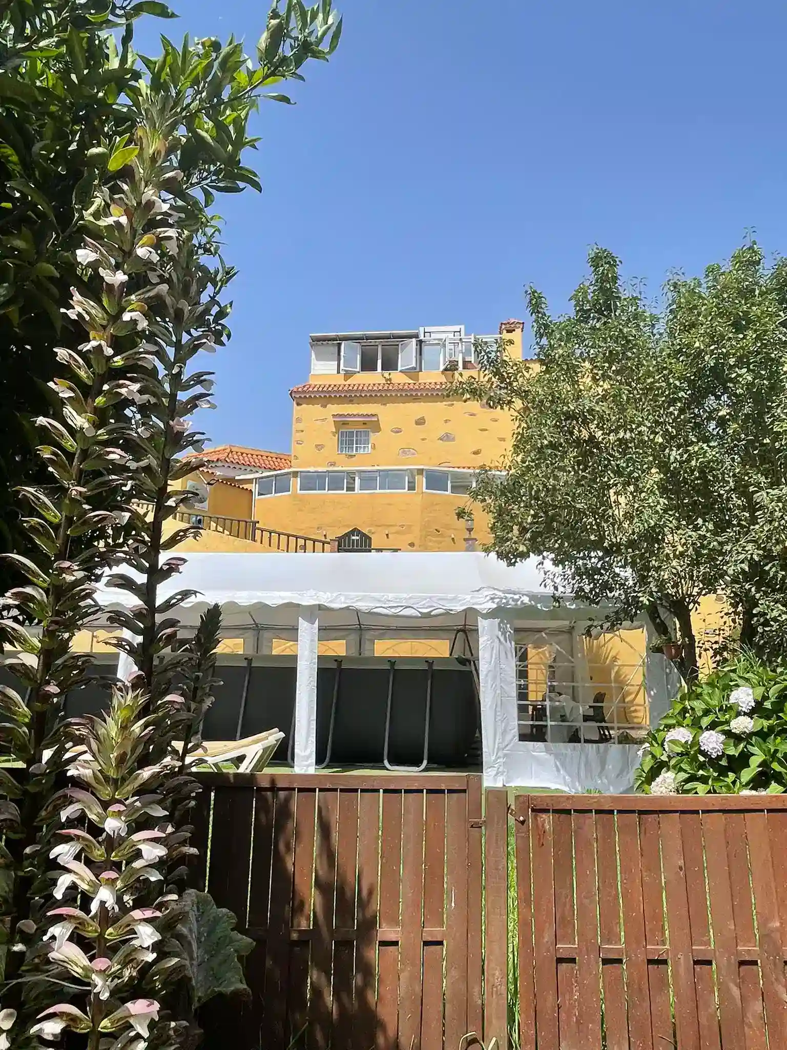La Alpispa 1