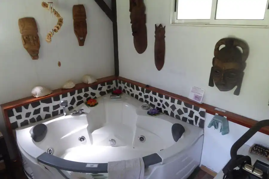La Alpispa 18