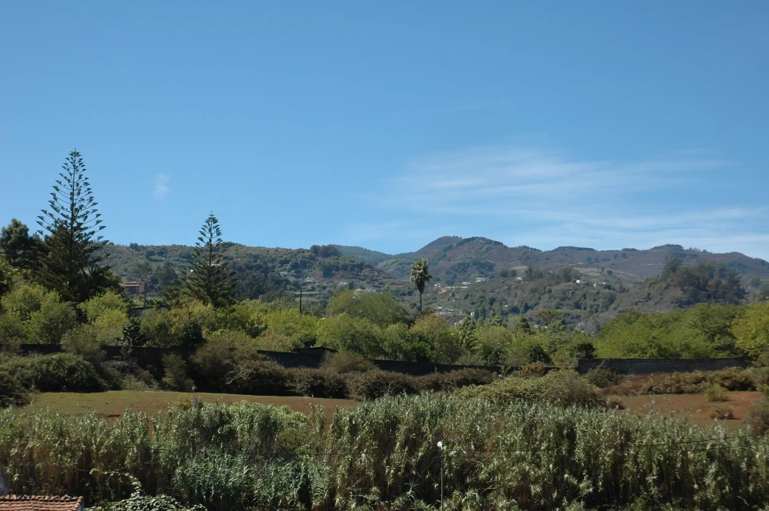 Las Vistas 1